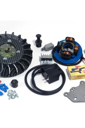 00006.22 KIT ACCENSIONE ELETTRONICA PARMAKIT PESO 1,1 KG CONO 20 ANTICIPO VARIABILE VESPA 50 125 SPECIAL ET3 PRIMAVERA PK HP Scelto Dai Clienti
