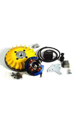 00010.22 KIT ACCENSIONE ELETTRONICA PARMAKIT AD ANTICIPO VARIABILE PIAGGIO VESPA PK 50 125 APE 50 PER AVVIAMENTO ELETTRONICO Subito Disponibile