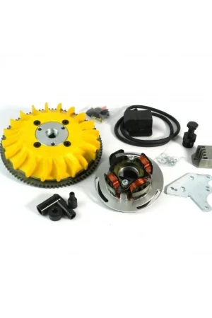 00020.22 KIT ACCENSIONE ELETTRONICA PARMAKIT AD ANTICIPO VARIABILE VESPA 125 150 200 RALLY SPRINT PE PX COSA TS GTR LML STAR 2T Scelto Dai Clienti