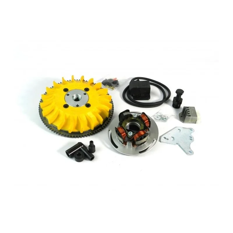 00020.22 KIT ACCENSIONE ELETTRONICA PARMAKIT AD ANTICIPO VARIABILE VESPA 125 150 200 RALLY SPRINT PE PX COSA TS GTR LML STAR 2T Scelto Dai Clienti