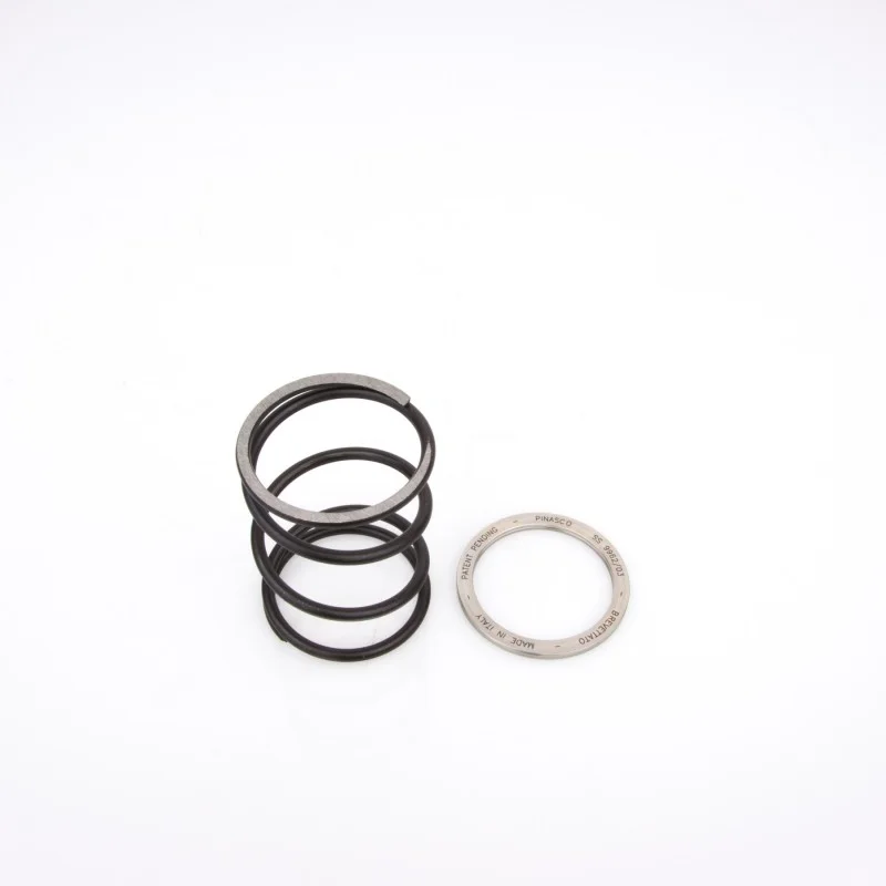 10412025 PINASCO Spring Sliders MOLLA DI CONTRASTO + SLIDER MAXISCOOTER VESPA GTS 125 150 Occasione