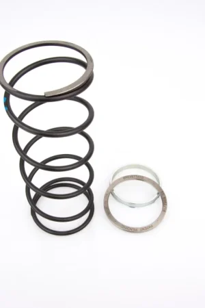 10412023 PINASCO Spring Sliders MOLLA DI CONTRASTO + SLIDER MAXISCOOTER Kymco People 250 Spedito Oggi