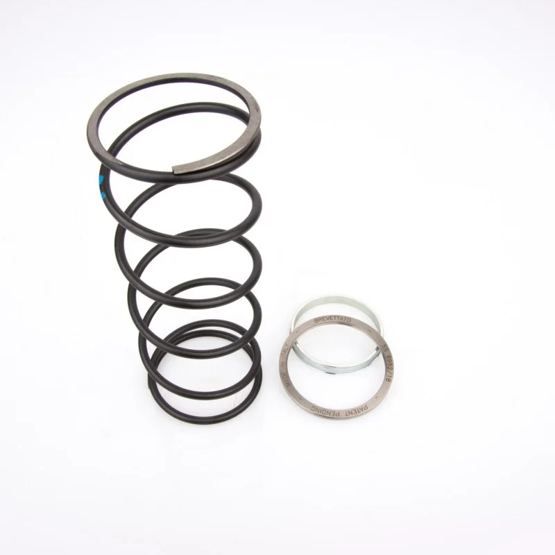 10412023 PINASCO Spring Sliders MOLLA DI CONTRASTO + SLIDER MAXISCOOTER Kymco People 250 Spedito Oggi