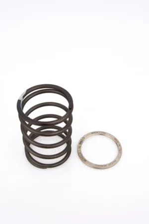 Prezzo Di Fabbrica 10412078 PINASCO Spring Sliders MOLLA DI CONTRASTO + SLIDER MAXISCOOTER PIAGGIO HEXAGON 250 4T LC