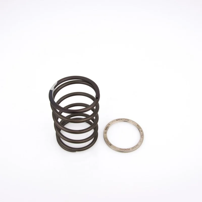 Prezzo Di Fabbrica 10412078 PINASCO Spring Sliders MOLLA DI CONTRASTO + SLIDER MAXISCOOTER PIAGGIO HEXAGON 250 4T LC