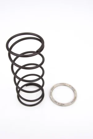 10412087 PINASCO Spring Sliders MOLLA DI CONTRASTO + SLIDER MAXISCOOTER Yamaha Majesty X max 125 Occasione