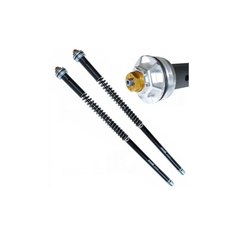 Occasione 105/K37E ANDREANI Kit cartucce forcella regolabili "MISANO EVO" KAWASAKI W 800 2019