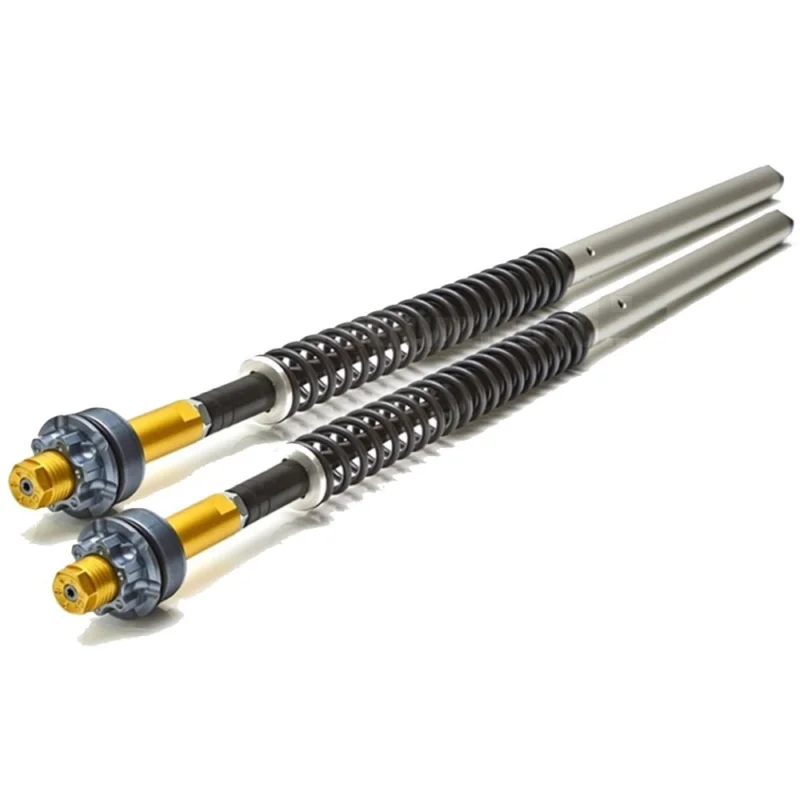 Offerta Limitata 110/HD2 ANDREANI Kit cartucce forcella regolabili "MISANO" HARLEY DAVIDSON Sportster IRON 883 -Nightster XL1200N 2010-