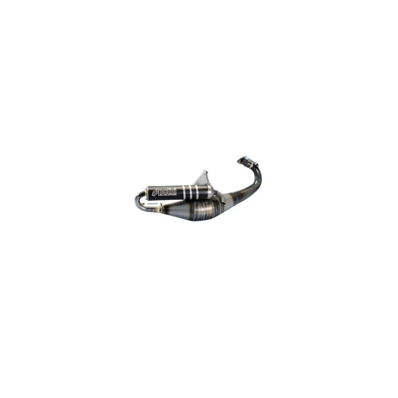 200.0293 MARMITTA SCARICO POLINI EVOLUTION 11 PIAGGIO ZIP SP FAST RIDER LIBERTY FLY QUARTZ 50 2T Scelto Dai Clienti