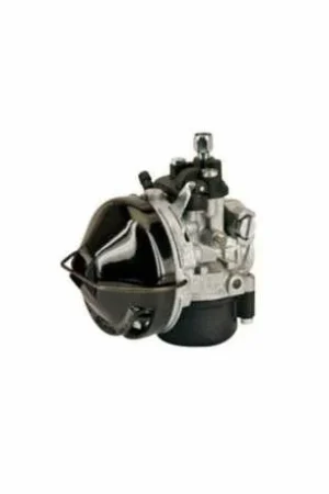 A Buon Prezzo Carburatore Sha D 15Mm Cinesi Selgros 2017