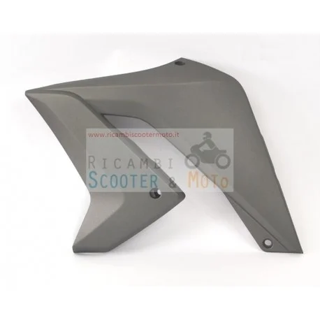 Non Perdere Convogliatore SX Radiatore Originale Malaguti 125 X3M Titanium