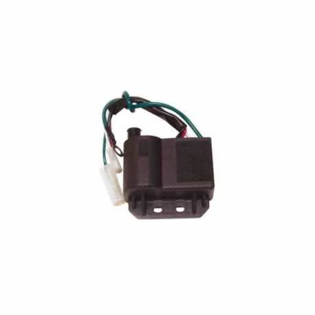 Professionale Centralina Elettronica Accensione Malaguti Ciak Td 50 2000-2001
