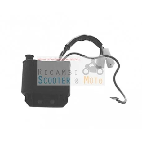 Centralina Elettronica Originale Ducati Malaguti Yesterday 50 97-00 Offerta