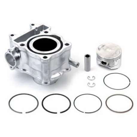 Offerta Speciale Cilindro In Alluminio D52,4Mm Honda Pes 125 Ps I 2006-2013