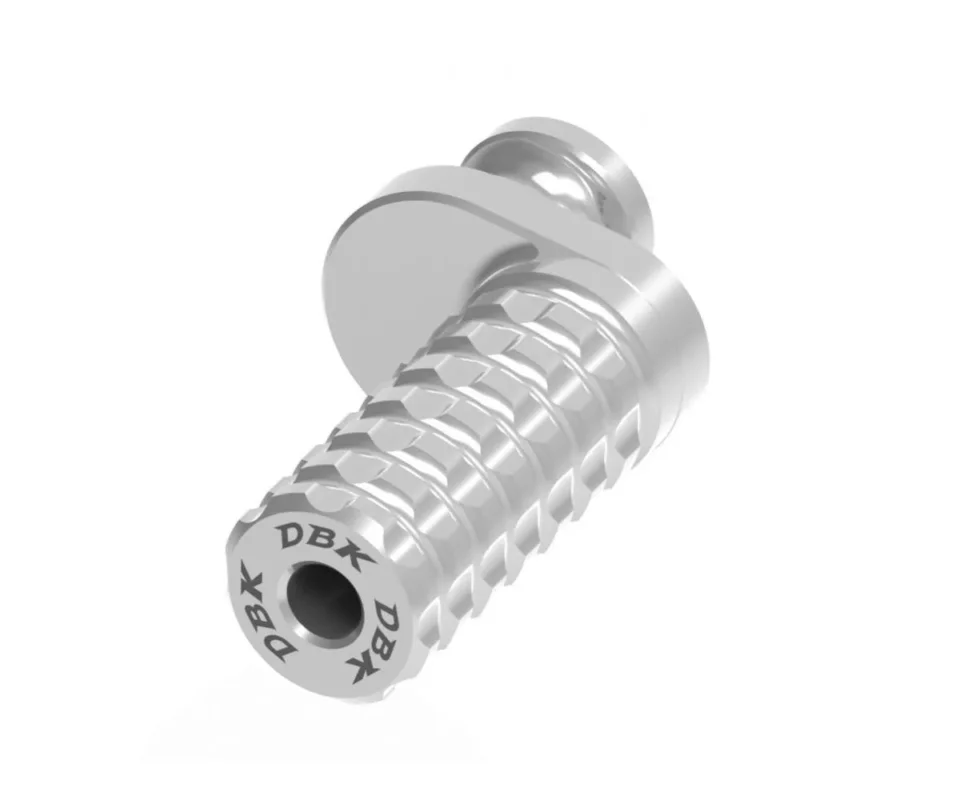 Promozione Esclusiva Piolo Eccentrico Extra Grip Silver Dbk Per Ducati Multistrada V2Modelli dal 2022 al 2026 RPPIF05E