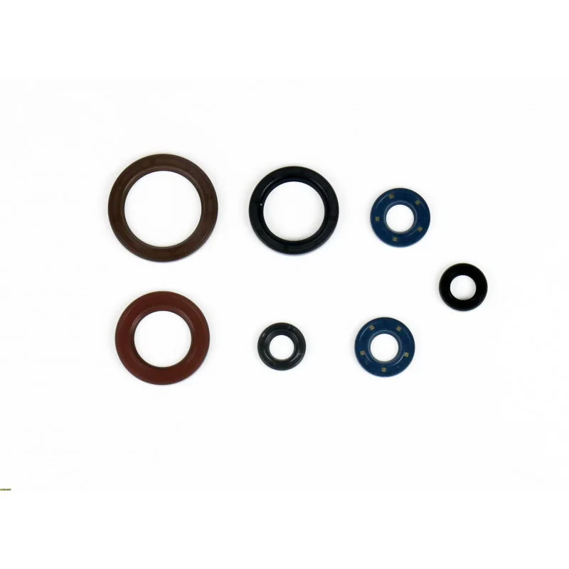 Compra Online Kit paraolio motore husqvarna FC 250 Ktm engine 2016-2017
