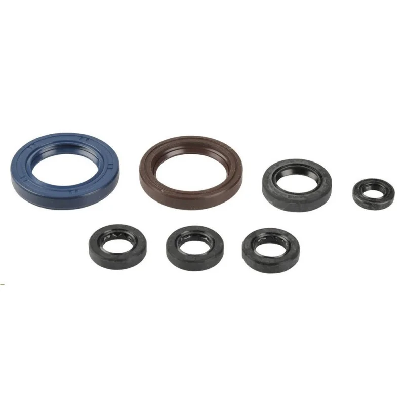 Kit paraolio motore Beta RR 400 2006-2009 Prezzo Basso