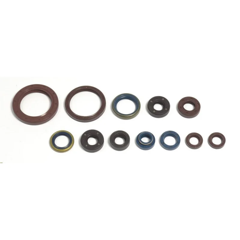 Solo Oggi Kit paraolio motore Aprilia SXV 550 2006-2011